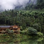 Qingyin pavillon in Mt. Emei